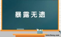 暴露无遗怎么造句 暴露无遗是成语吗?