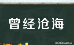 曾经沧海是什么意思 曾经沧海最早出自哪儿