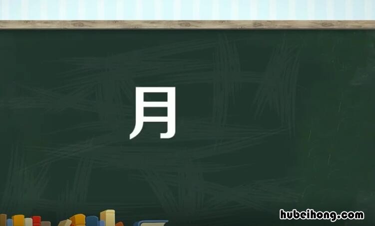 月偏旁的字有哪些 月字旁的偏旁部首的字有哪些