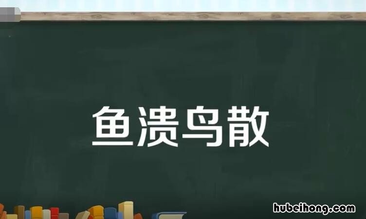 有关鸟的成语有哪些 写出有关鸟的成语