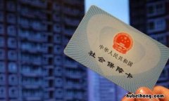 没有社保卡怎么查询自己的卡号 没社保卡怎么查社保卡号