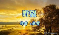 杜甫《野望》表达了作者什么样的思想感情 野望表达了作者什么样的情感