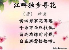杜甫的《江畔独步寻花》是什么意思 江畔独步寻花杜甫的诗