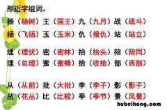 杨字组词有哪些 臂组词