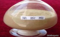 果胶酶的产生是什么 果胶酶的产品参数