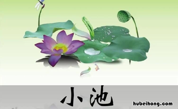 树阴照水爱晴柔的上一句是什么 树阴照水爱晴柔的前一句是