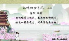 桃花一簇开无主的下一句是什么 桃花一簇开无主的下一句