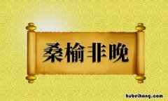 桑榆非晚是什么意思 莫道桑榆晚为霞尚满天什么意思