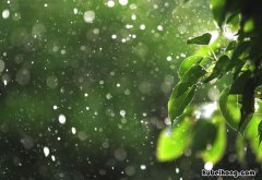梅雨期的主要天气特征是什么 梅雨气候原理