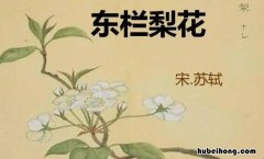 梨花淡白柳深青下一句是什么 梨花淡白柳深青的译文