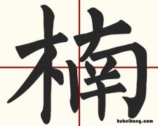 楠的意思是什么 楠楠名字的寓意