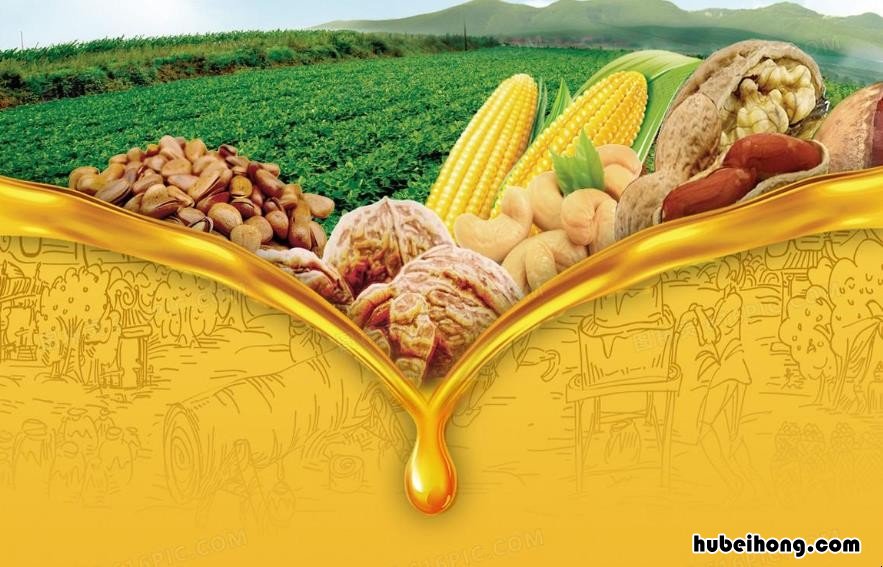 玉米油可以用什么代替 做蛋糕没有玉米油可以用什么油