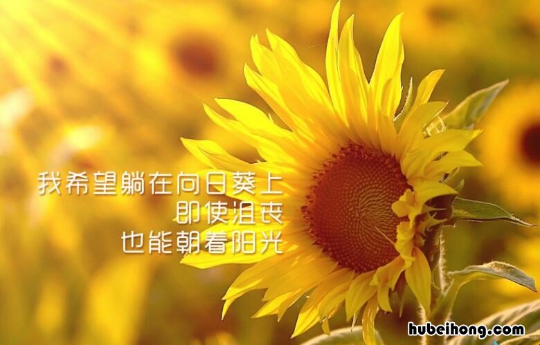正能量短句有哪些 100句正能量短句