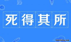 死得其所的所是什么意思 死得其所的所是什么意思啊?