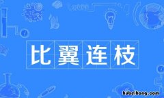 比翼连枝是什么意思 比翼连枝是什么生肖