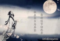每逢佳节倍思亲的佳节是什么意思 每逢佳节倍思亲的佳节指什么节日