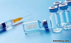 疫苗责任险不赔偿情况有哪些 疫苗保险396元有必要买吗