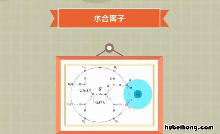 水合离子是什么意思 水合离子的形成是电性作用
