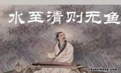 水至清则无鱼是什么命题 水至清则无鱼什么意思爱情