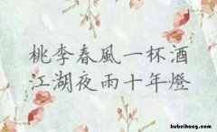 江湖夜雨十年灯是什么意思 江湖夜雨十年灯什么意思