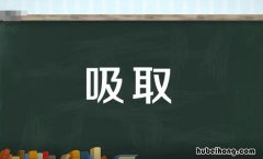 汲取和吸取有什么区别 汲取的拼音和意思怎么写