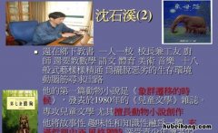 沈石溪的作品有哪些 沈石溪的作品名称