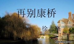 沉默是今晚的康桥下一句是什么 沉默是今晚的康桥上一句是什么