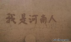 河南人属于南方人还是北方人 全国人为什么不招河南人