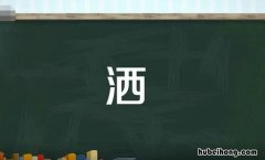 洒字组词有哪些 撞字 组四字词有哪些