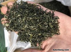 碧螺春怎么看品质好坏 怎么识别碧螺春好坏