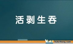 活剥生吞是什么意思 活剥生吞一肖是什么