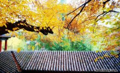 流连忘返近义词有哪些 流连忘返的近义词大全