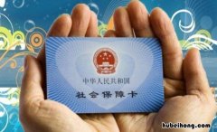 社保个人账户怎么查 社保查询个人账户缴费明细查询查不到