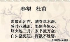 浑欲不胜簪的上一句是什么 浑欲不胜簪怎么读