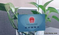 社保卡可以当银行卡用吗 建设银行的社保卡可以当银行卡用吗