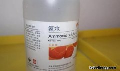 浓氨水的性质是什么 浓氨水具有什么化学性质