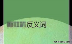 浓的反义词是什么 常常的反义词是什么