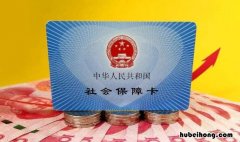 社保统筹账户怎么查 社保统筹账户怎么查不到了呢