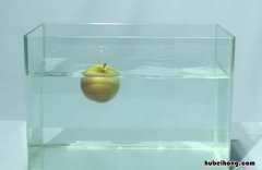 浮力计算的基本原则有哪些 浮力的计算公式讲解