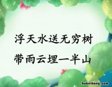 浮天水送无穷树的下一句是什么 浮天水色无穷树