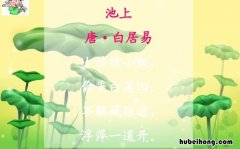 浮萍一道开的意思是什么 浮萍一道开,开的意思是什么