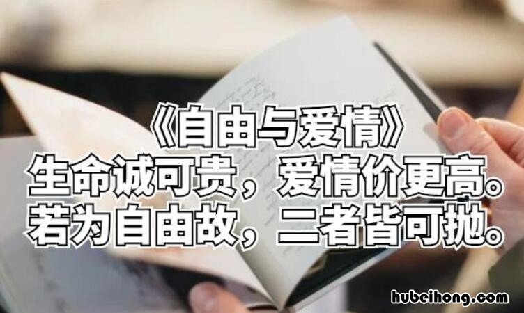 爱情价更高前面一句是什么 生命诚可贵,爱情价更高,若自由故,两者皆可抛作者翻译