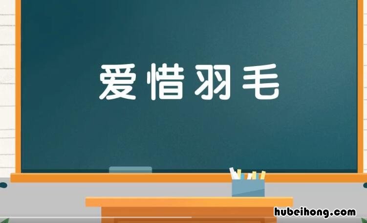 爱惜什么什么成语是什么 爱惜什么什么成语有哪些