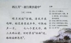 清风半夜鸣蝉是什么意思 明月别枝惊鹊,清风半夜鸣蝉啥意思