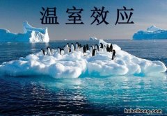 温室效应的危害有哪些 温室效应的危害及防治措施
