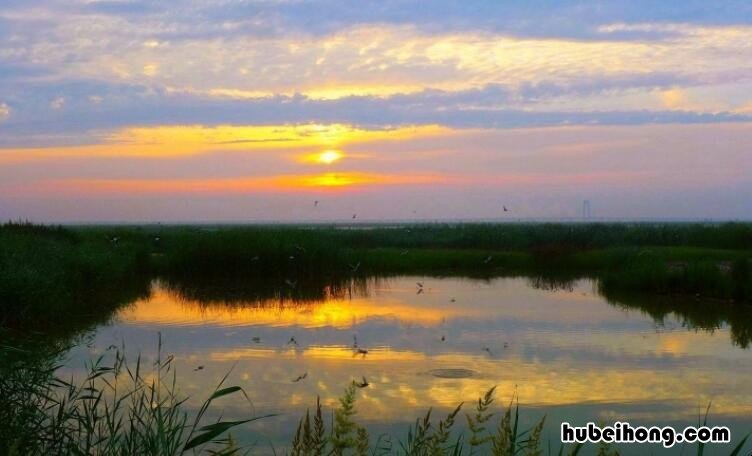 湿地形成原因是什么 湿地形成的原因答题模板