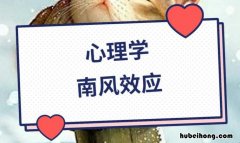 南风效应给人们的启示是什么 南风效应给人们的启示是什么