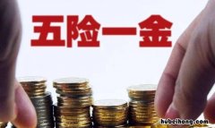 缴纳五险一金有什么用 缴纳五险一金有什么用途