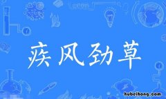 疾风劲草怎么造句 疾风知劲草上一句是什么意思