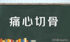 痛心切骨是什么意思 痛心切骨的近义词